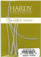 Hardy Braided Loops